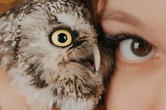 Welcome Bingo Casino Support